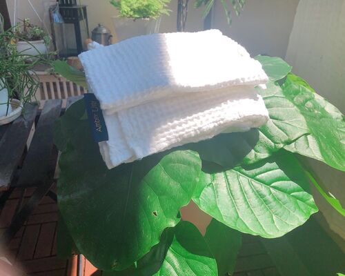 リネンワッフルタオルと観葉植物