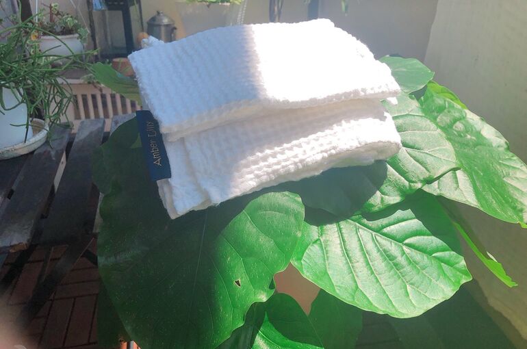 リネンワッフルタオルと観葉植物